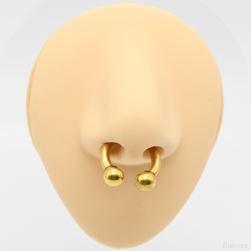 8G-00G Grote Gauge Rvs Hoefijz - Body Jewelry Gauges recensie en prijs