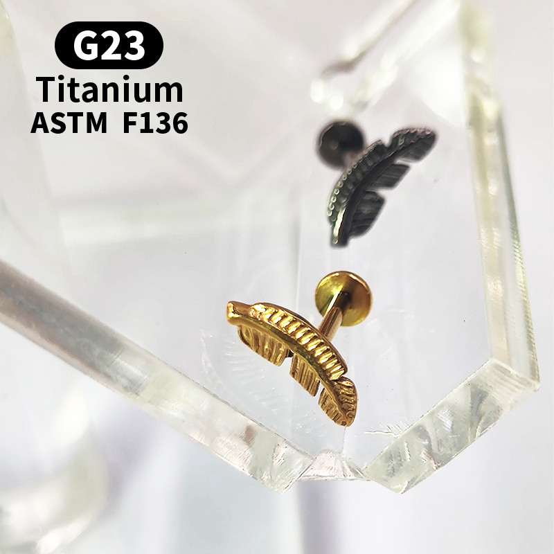 Titanium G23 Labret Tragus Lip - Body Jewelry Labret recensie en prijs
