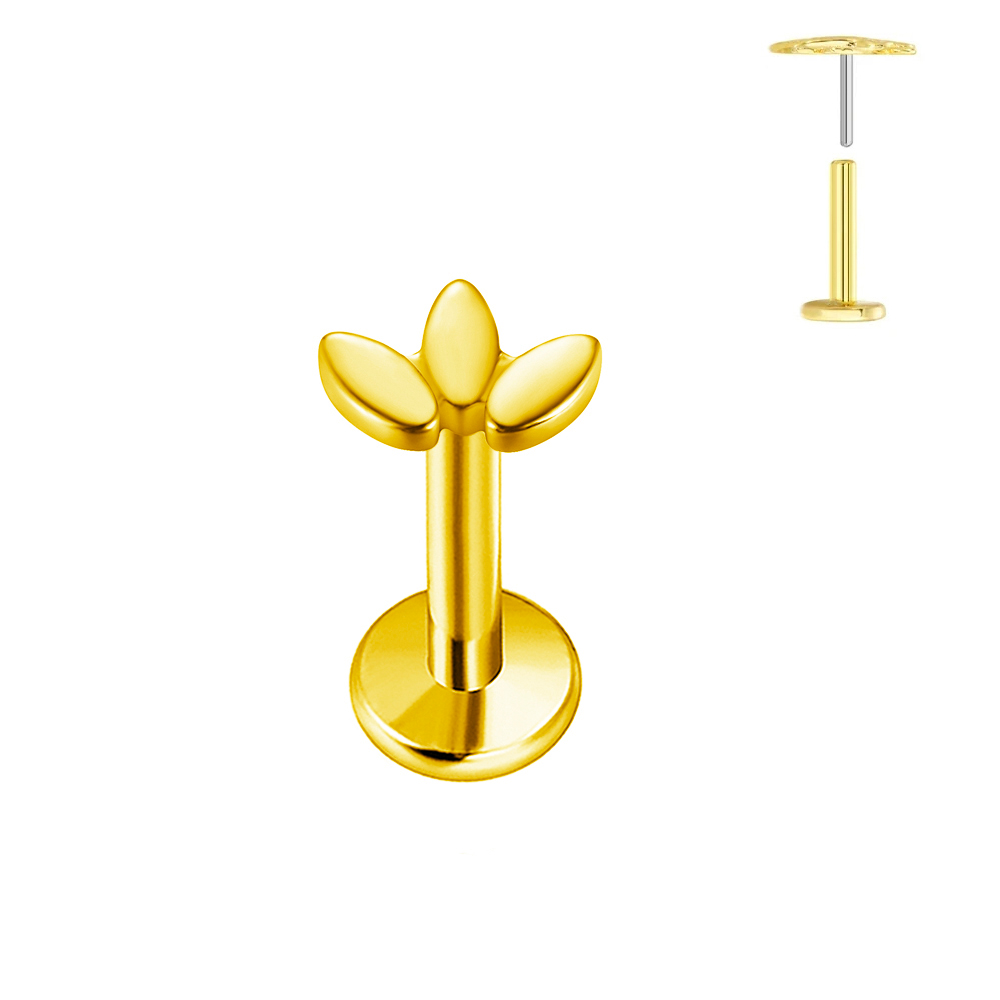 ASTM F136 G23 Titanium hartvor - Body Jewelry Labret recensie en prijs